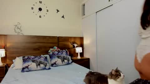 taylor live   online show from March 3, 2026, 11:32 pm