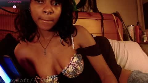 meatwad online show from February 28, 2025, 2:31 pm