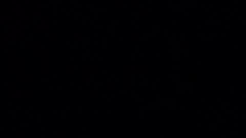 Iordan online show from December 24, 2024, 1:38 am