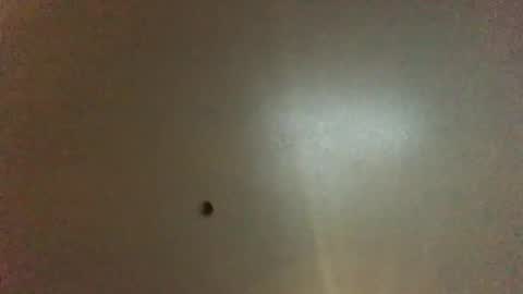 For You online show from December 2, 2024, 8:41 am