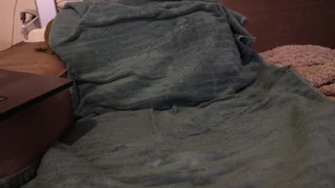 hardgs online show from January 8, 2025, 12:26 pm