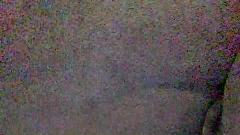 Snapshot of hardiebois chatting on June 8, 2026, 4:57 am Micheal online show from June 8, 2026, 4:57 am