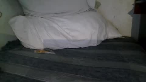 Snapshot of harry1cannary chatting on January 13, 2026, 3:23 am harry1cannary online show from January 13, 2026, 3:23 am