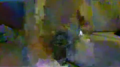 harryhavana online show from February 11, 2025, 7:44 am