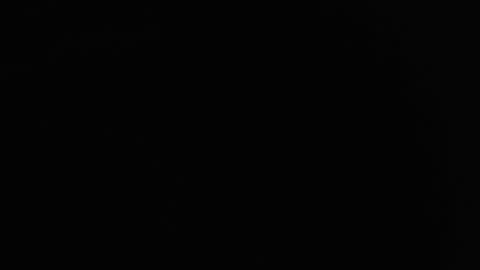 Nicole online show from December 20, 2024, 3:58 am