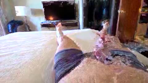 havebeardwilltravel3250 online show from January 15, 2026, 7:28 pm