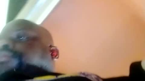 Snapshot of hbdj2164 chatting on February 23, 2025, 3:40 pm hbdj2164 online show from February 23, 2025, 3:40 pm