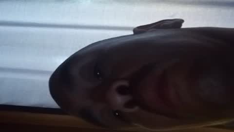 Snapshot of headshop_ chatting on June 16, 2026, 1:52 am Cloudznpointzsex online show from June 16, 2026, 1:52 am