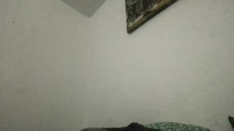 Snapshot of heff919 chatting on June 20, 2026, 3:42 am Thisisheff online show from June 20, 2026, 3:42 am