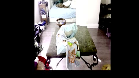 Snapshot of henryflapper chatting on January 4, 2025, 7:44 pm HenryFlapper online show from January 4, 2025, 7:44 pm