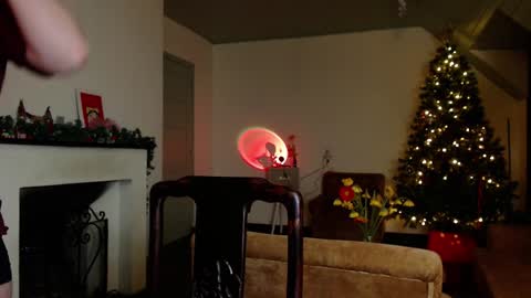 Gregblonde  Alextattoo online show from January 9, 2025, 2:29 pm