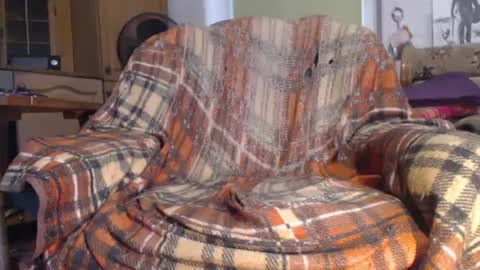 herrzauberns online show from December 9, 2024, 2:17 pm