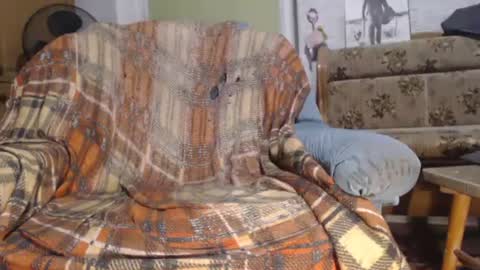 herrzauberns online show from February 1, 2025, 1:34 am