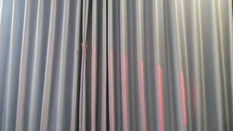 Snapshot of hersheys_aran chatting on December 3, 2025, 8:00 am Aran online show from December 3, 2025, 8:00 am