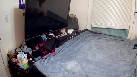 Highnesscali37 online show from December 15, 2024, 12:28 pm