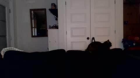 hightonight27 online show from February 21, 2026, 4:24 am