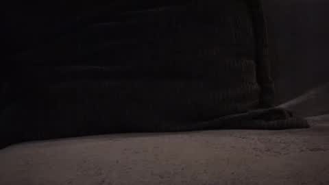 hikinxxx online show from November 12, 2025, 3:18 am