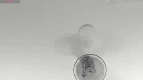 hilary_tailor online show from January 15, 2026, 11:04 am