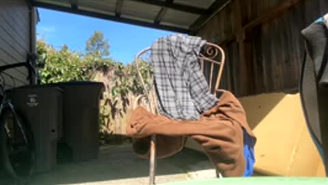 Hippie Jijm online show from April 17, 2026, 7:39 pm