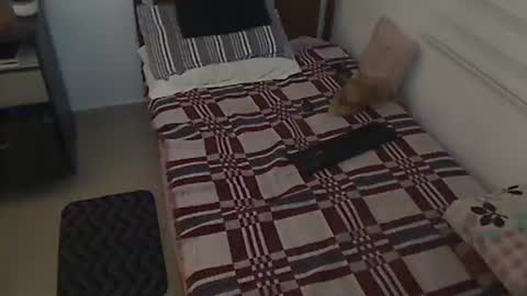 Holofernes45gil online show from March 28, 2026, 7:30 am