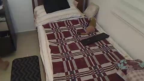 Holofernes45gil online show from April 3, 2026, 7:17 am