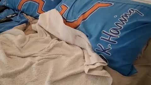 Snapshot of homer1976 chatting on March 6, 2025, 2:41 am Homer online show from March 6, 2025, 2:41 am