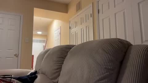 honey_man14 online show from December 17, 2024, 8:34 am