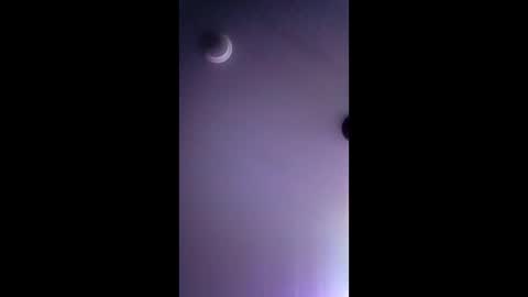 honeybear2026 online show from December 22, 2025, 3:25 am