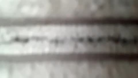 Snapshot of honeyboy010902 chatting on February 10, 2026, 4:00 pm honeyboy010902 online show from February 10, 2026, 4:00 pm