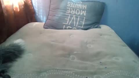 Honeybut72 online show from September 19, 2025, 9:59 pm