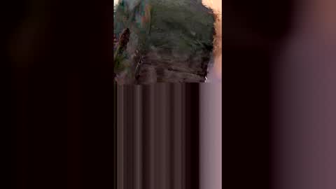 Snapshot of hongo4207 chatting on February 6, 2026, 12:19 pm hongo4207 online show from February 6, 2026, 12:19 pm