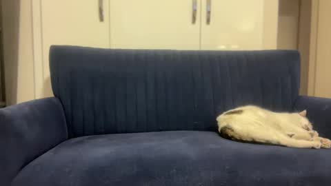 Snapshot of hoplonger chatting on March 6, 2026, 2:13 pm hoplonger online show from March 6, 2026, 2:13 pm