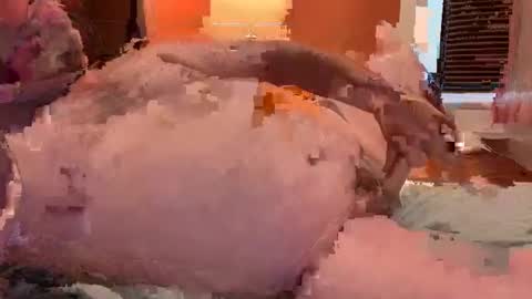 horndawglove online show from January 6, 2025, 7:56 pm