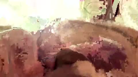 Snapshot of hornieecum chatting on March 2, 2026, 11:17 am hornieecum online show from March 2, 2026, 11:17 am