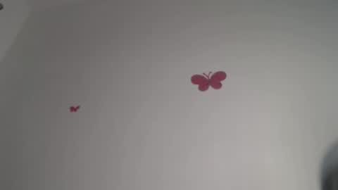 Iris online show from December 4, 2025, 8:28 pm