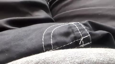 Tiny cock online show from January 31, 2026, 7:11 pm