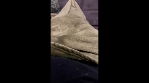 hornybear420420420 online show from March 6, 2026, 11:34 pm