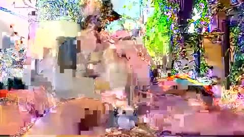 Snapshot of hornyhotgy27 chatting on December 6, 2024, 9:46 pm hornyhotgy27 online show from December 6, 2024, 9:46 pm