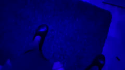 Snapshot of hornystroker21 chatting on October 19, 2025, 2:01 am hornystroker21 online show from October 19, 2025, 2:01 am