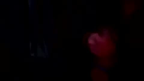 horse9ram5 online show from February 3, 2025, 6:45 am