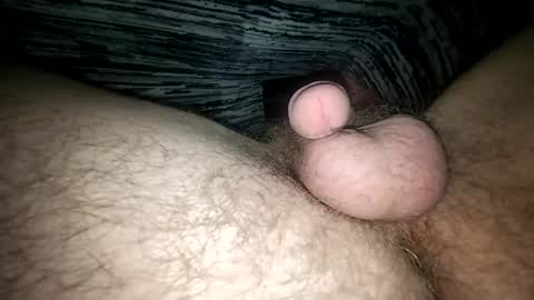 horsecock9748 online show from February 12, 2025, 9:52 am