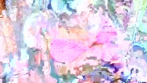 hot_baby_priya online show from October 12, 2025, 4:50 pm