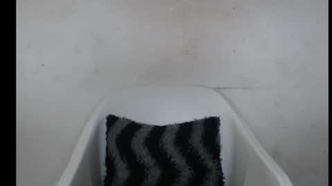 hotjessie0 online show from October 3, 2025, 9:06 am