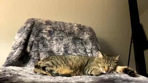 hottiewithabody101 online show from April 17, 2026, 9:51 pm