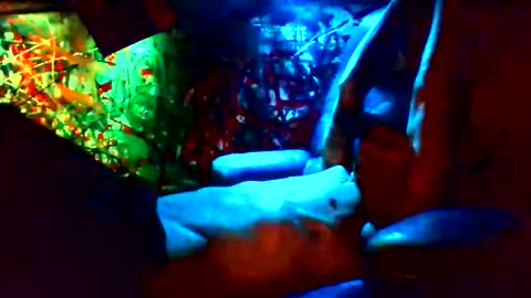 ask me online show from January 12, 2025, 11:28 am