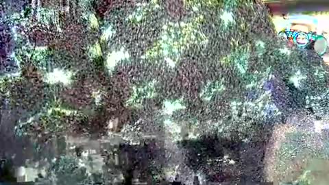 hp58649blabla online show from September 24, 2025, 7:55 am