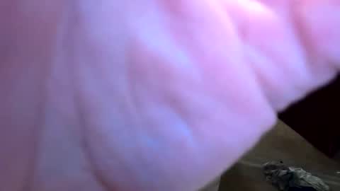 htwnswangn9 online show from April 1, 2026, 3:29 am