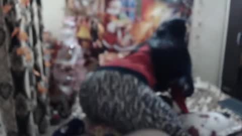 hugeassdevil online show from January 23, 2025, 5:42 pm