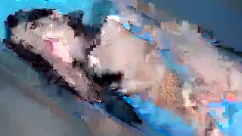 Yhanie online show from February 3, 2025, 1:08 pm