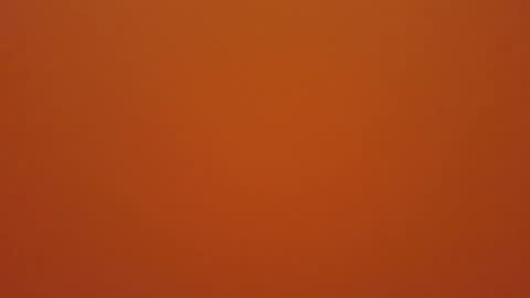 hundeleine online show from December 19, 2025, 11:28 am